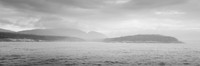 Acadia Mist #DT-0121