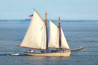 Schooners & Lobster Boats
