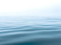 Into Nothing #DT-0133