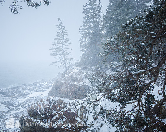 Winter Shores #DT-0145