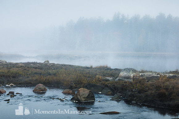 Northeast Creek Fog #DT-0140