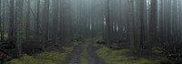 Inside Mist Island #DT-0130