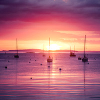 Camden Harbor Sunrise #DT-0139