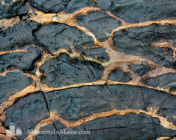 Veins #DT-0128