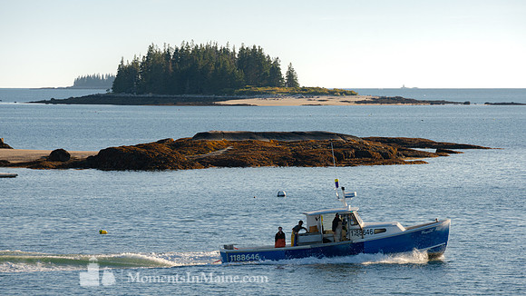 Running for the Harbor #DT-0125