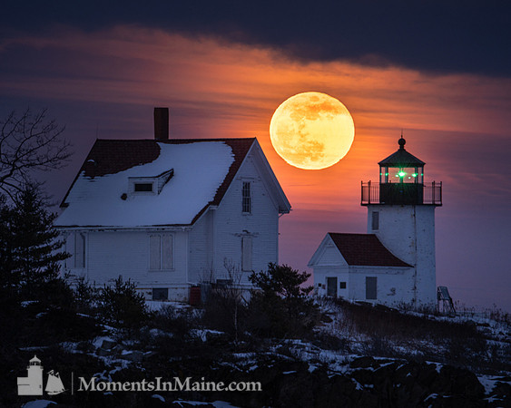 Moonrise at Curtis Island #DT-0090