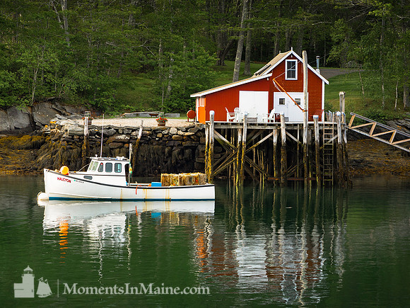 New Harbor Wharf #DT-0066