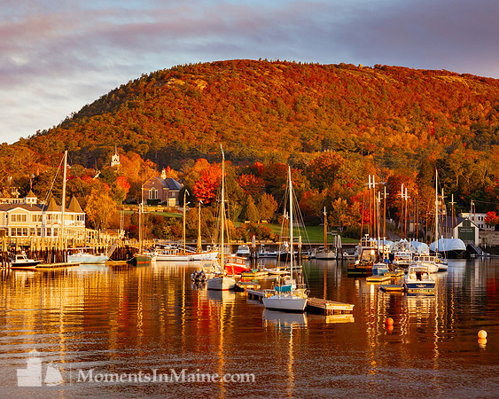 Autumn in Camden Harbor #DT-0097