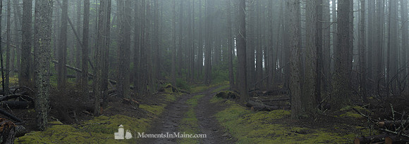 Inside Mist Island #DT-0130