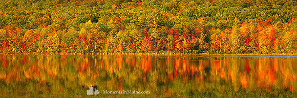 Mirror Lake #DT-0075