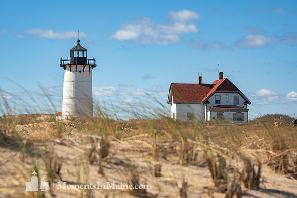 Race Point Sea Grass #CC-021