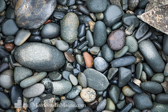 Downeast Beach #DT-0069