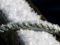 Frozen Rope #WIN-012