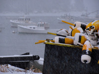 Snow Day #WIN-008