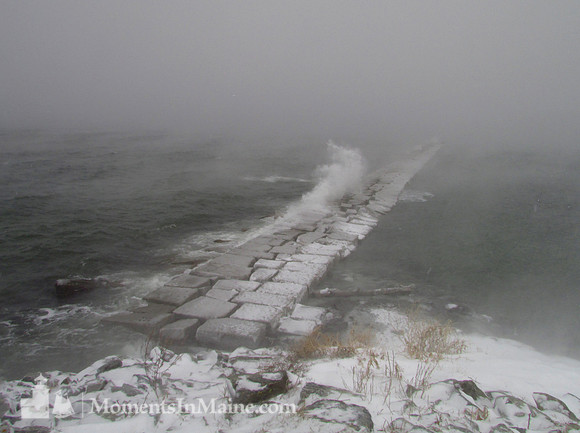 WInter's Fury #WIN-016