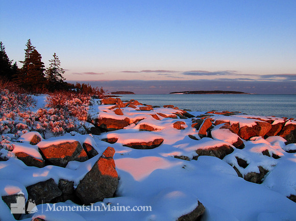 Winter Solitude #WIN-007