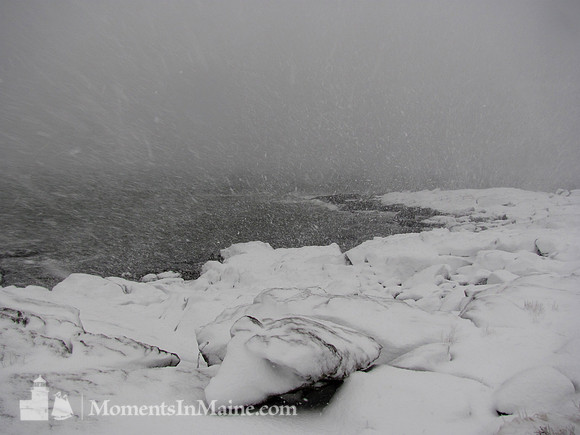 Winter Gale #WIN-006