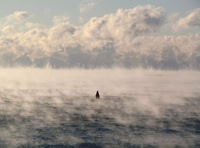 Seasmoke #SES-030