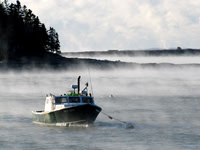 Sea Hag #SES-028