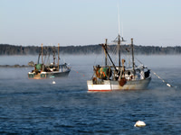 Port Clyde #SES-029
