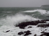 Storm Swells #SRM-018