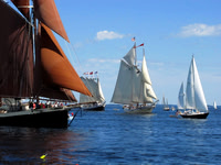 Parading across the Bay #SCH-009