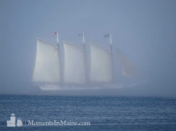 Into the Mist #SCH-025