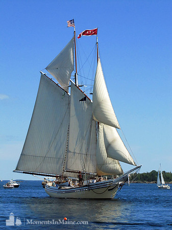 Schooner Heritage #SCH-010