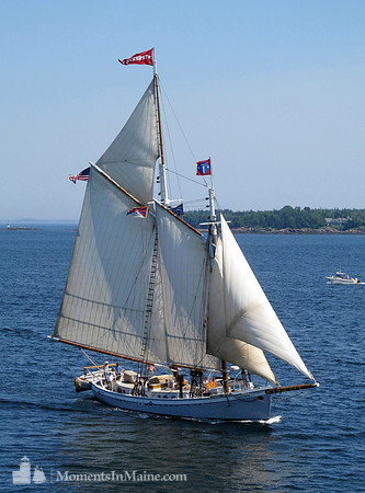 Schooner Timberwind #SCH-015
