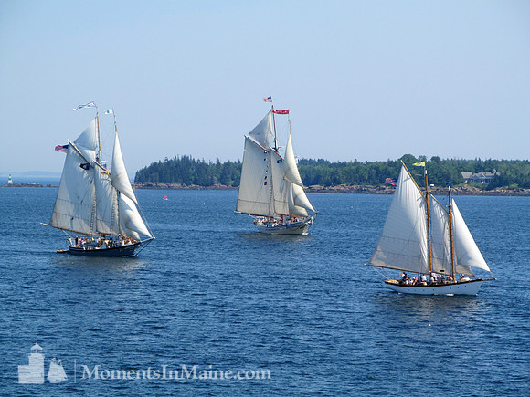 Schooners #SCH-016