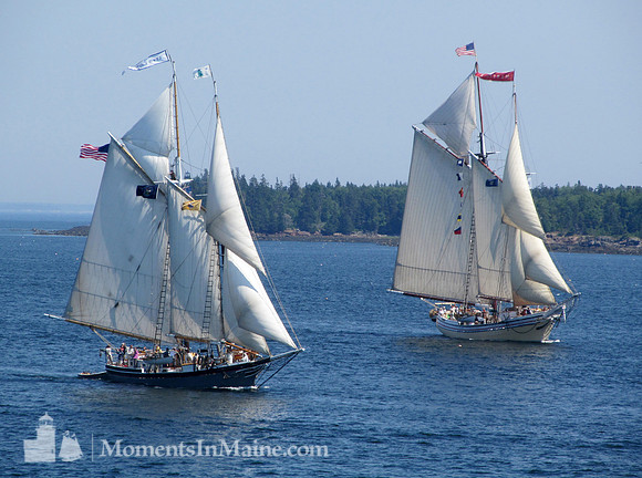 Schooners #SCH-017