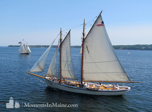Schooner American Eagle #SCH-019