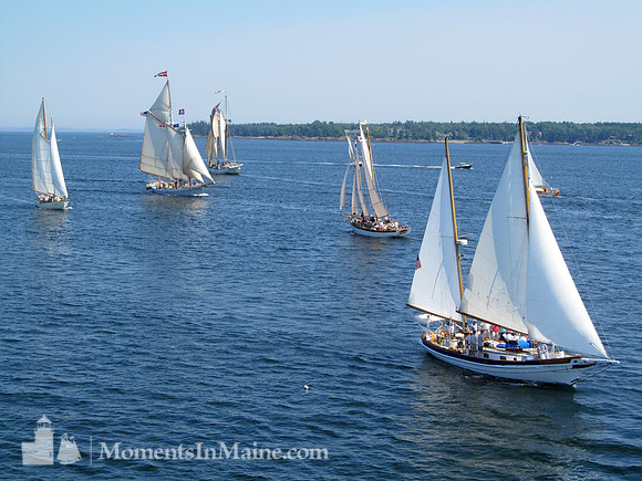 Schooners #SCH-020
