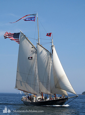 Schooner Stephen Tabor #SCH-022