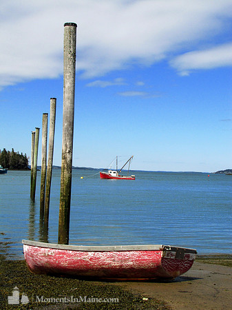 Stranded by the Tide #LOB-001