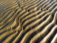 Art of the Sea #AWE-011