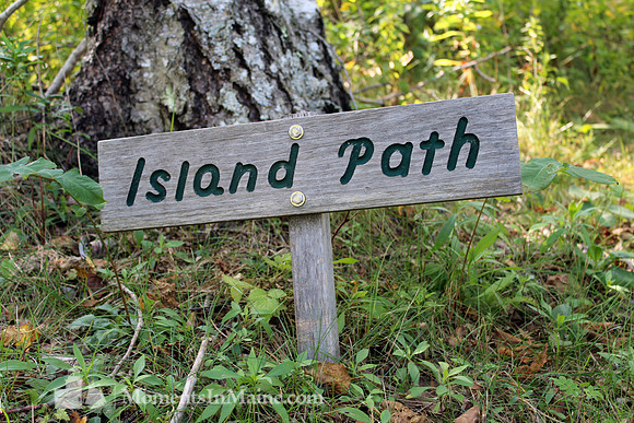 Marking the Trail #AWE-022