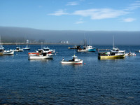 Fog outside the Harbor #FOG-005