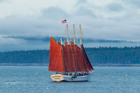 Schooner Margaret Todd #SCH-035