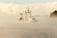 Seasmoke in Port Clyde #SES-036