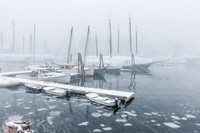 Camden Harbor #WIN-025