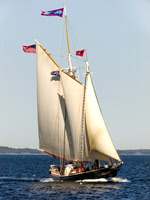 Schooner Stephen Tabor #SCH-028