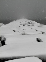 Whiteout #WIN-020