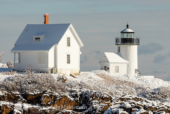 Curtis Island Light #CIL-014