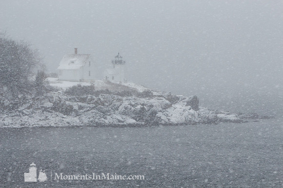 Curtis Island Light #CIL-017