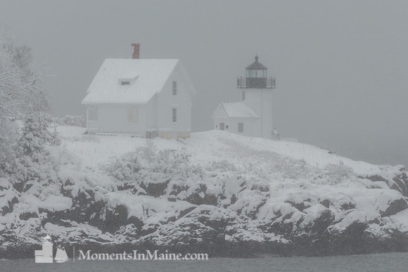 Curtis Island Light #CIL-016