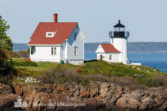 Curtis Island Light #CIL-020