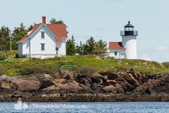 Curtis Island Light #CIL-021