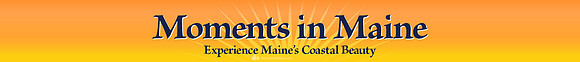 mim_site-title_bkgrnd_gallery