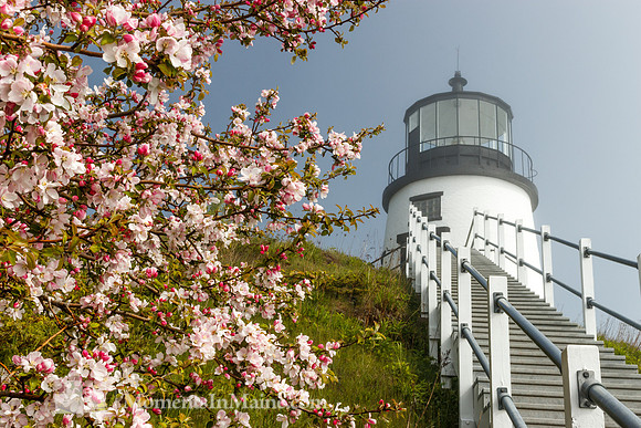 Owls Head Lighthouse #OHL-013